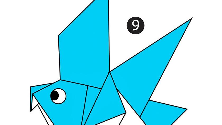 Valmis puluorigami