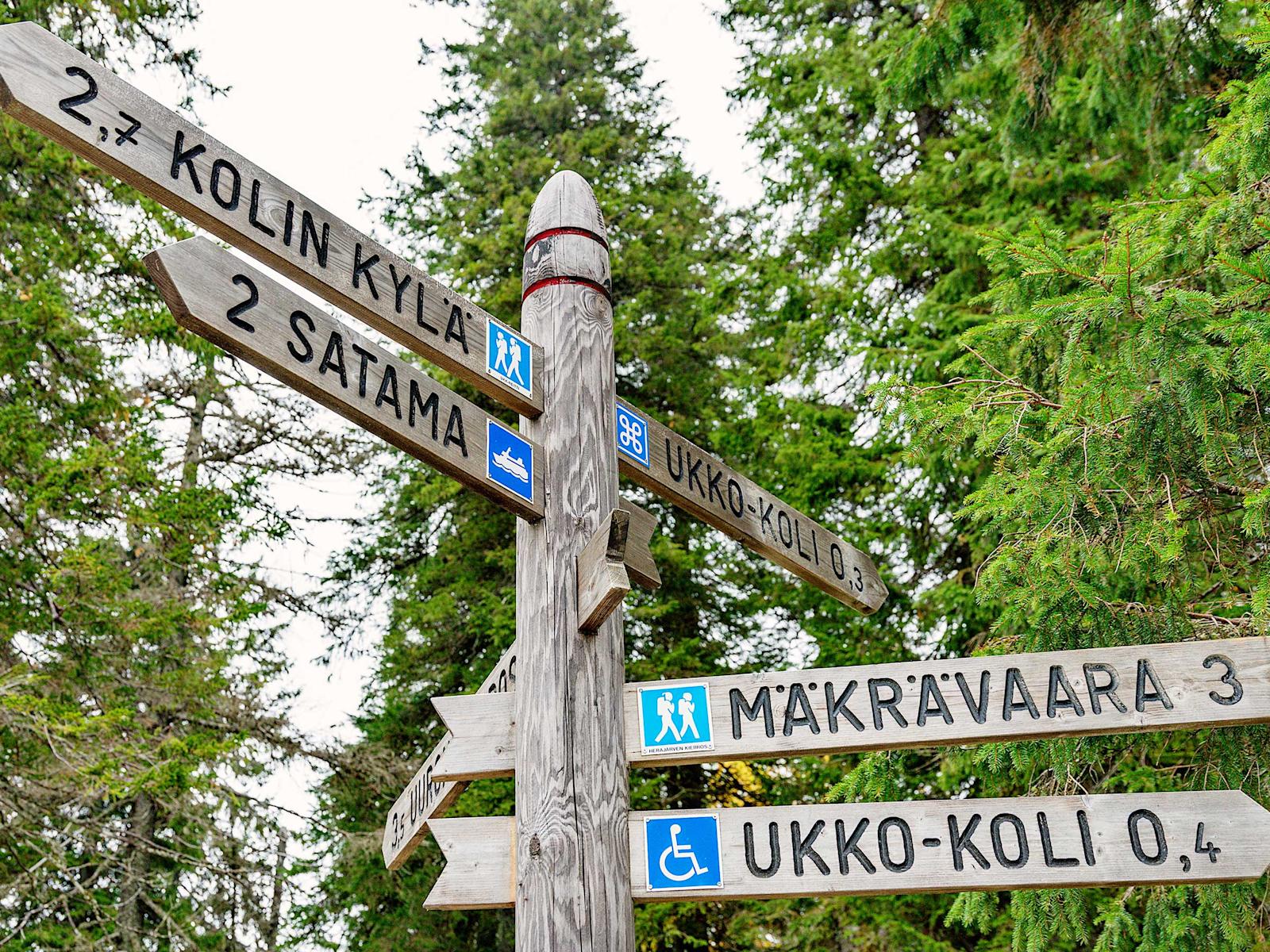 Kolin alueella on merkittyjä polkuja noin 80 kilometriä.