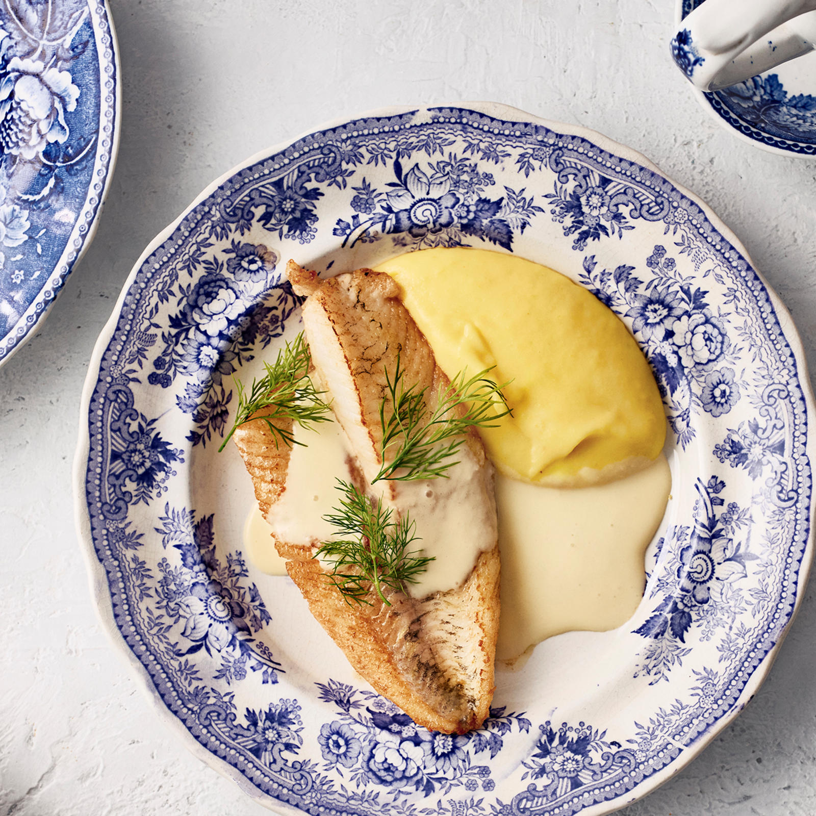 Paistettu kuhafilee, valkoviinikastike ja keltajuuripyree