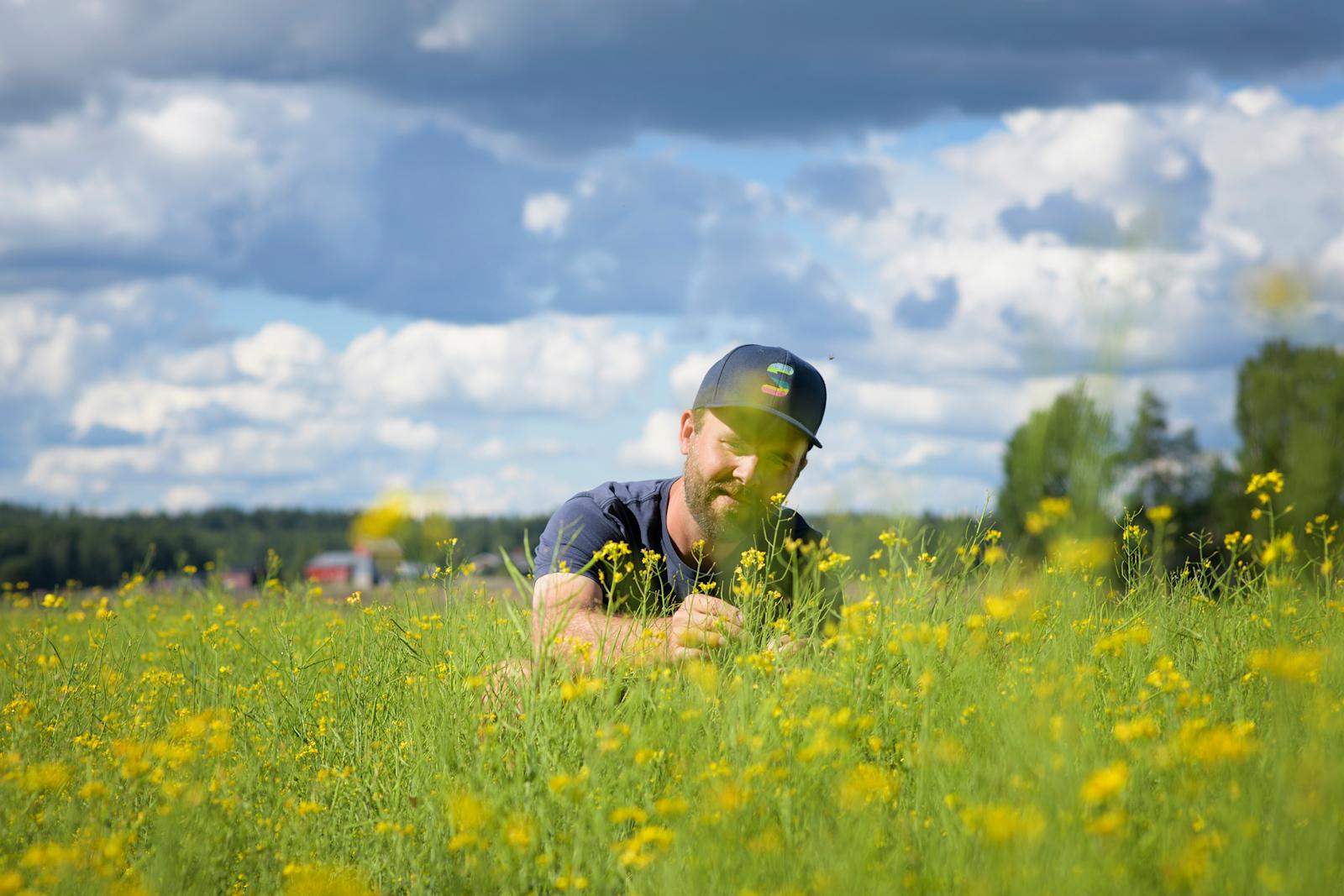 Henrik Bardy viljelee rypsiä Siuntiossa.