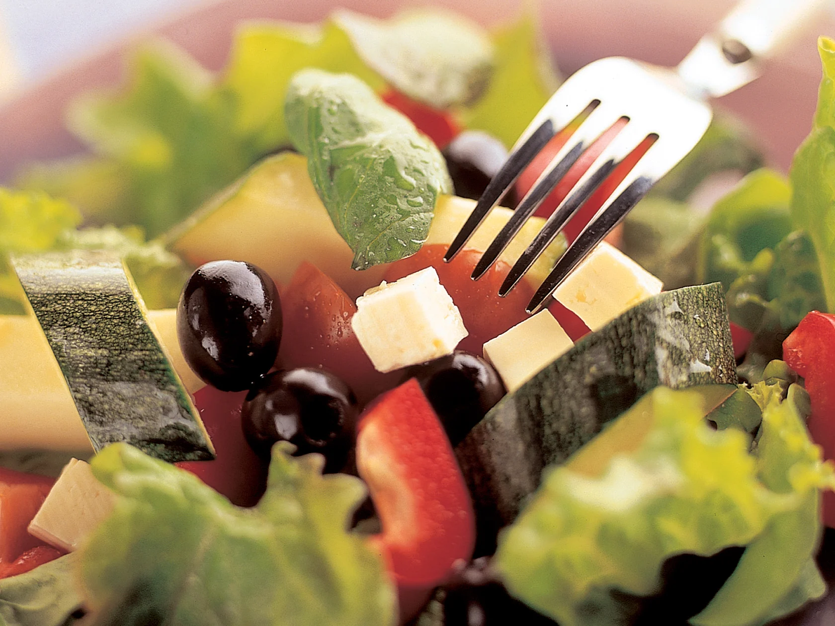 Kolmen salaatin kimara kreikkalaisittain