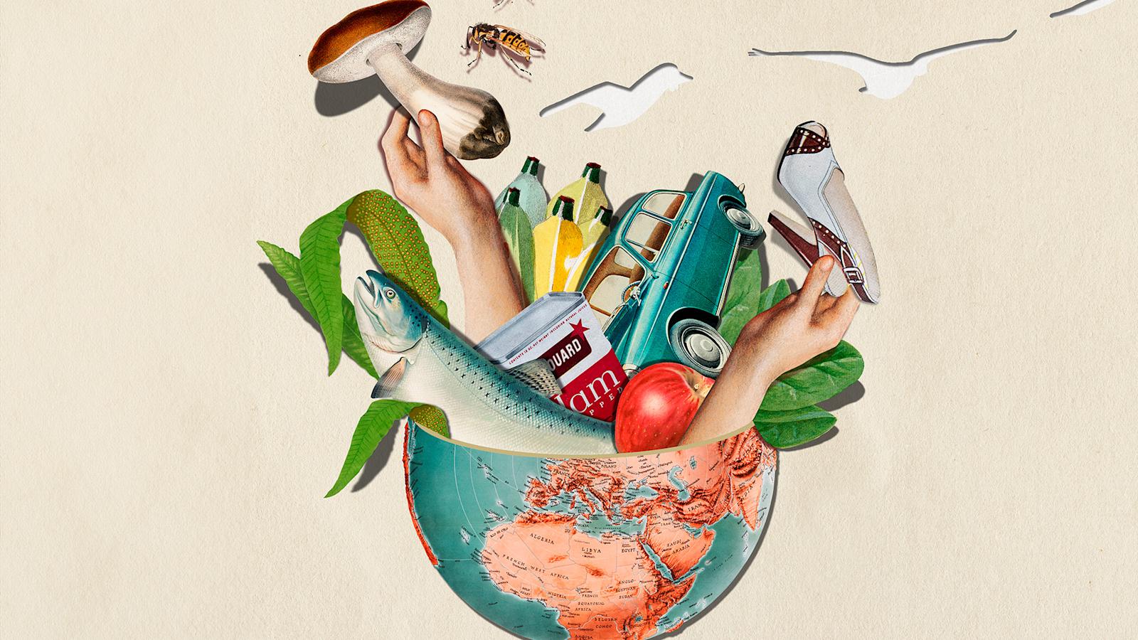 Piirroskuvakollaasi, jossa maapallon puolikkaasta tulee esiin muun muassa vanhanaikainen auto, omena, kala ja kädet jotka pitelevät sientä ja korkokenkää