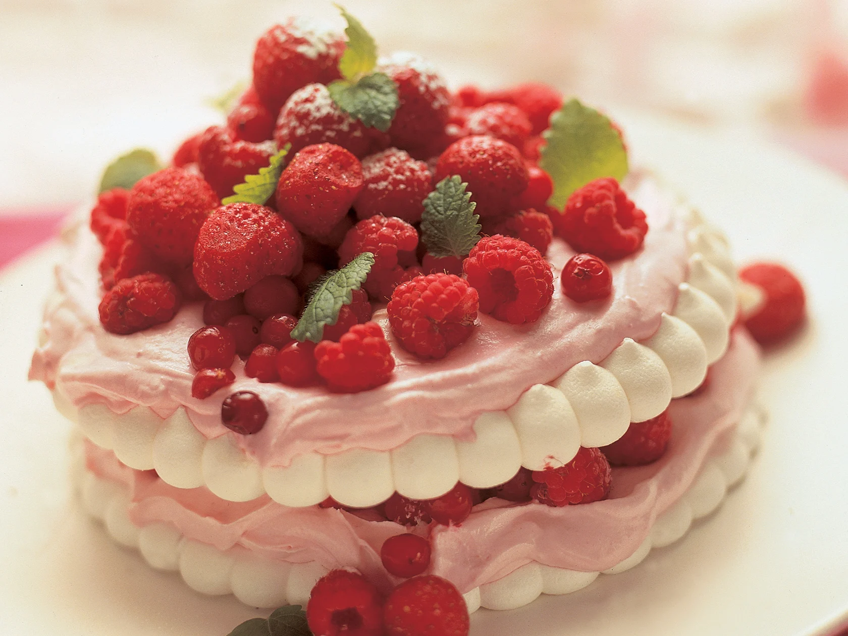 Makea jäädyketorttu