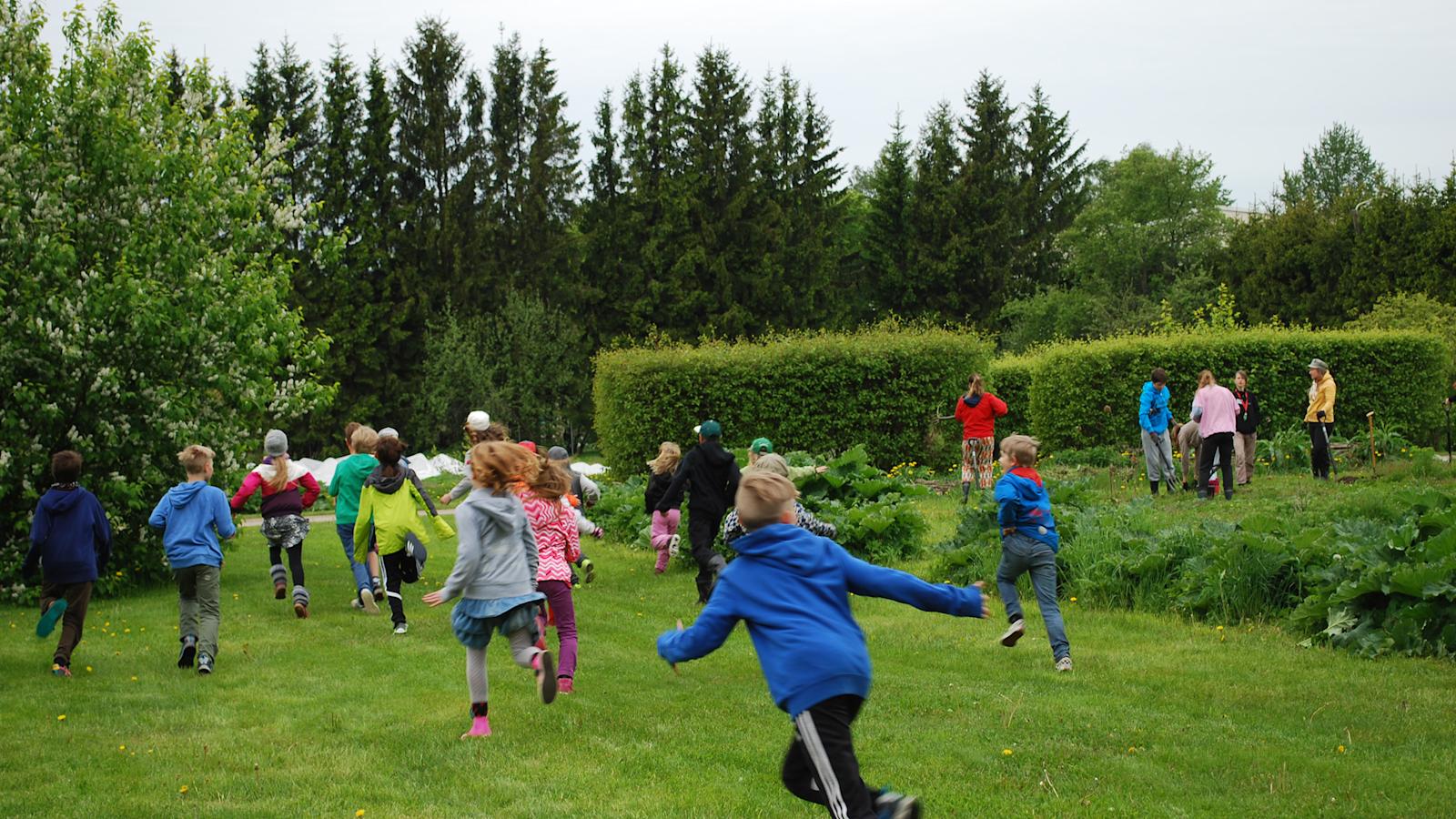 Koulukasvitarhalla oppii viljelyä ja jakamista sekä sitä, että asiat eivät tapahdu nopeasti.