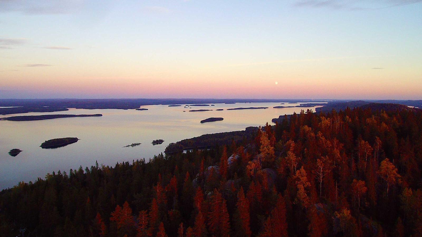 Koli kaikilla aisteilla