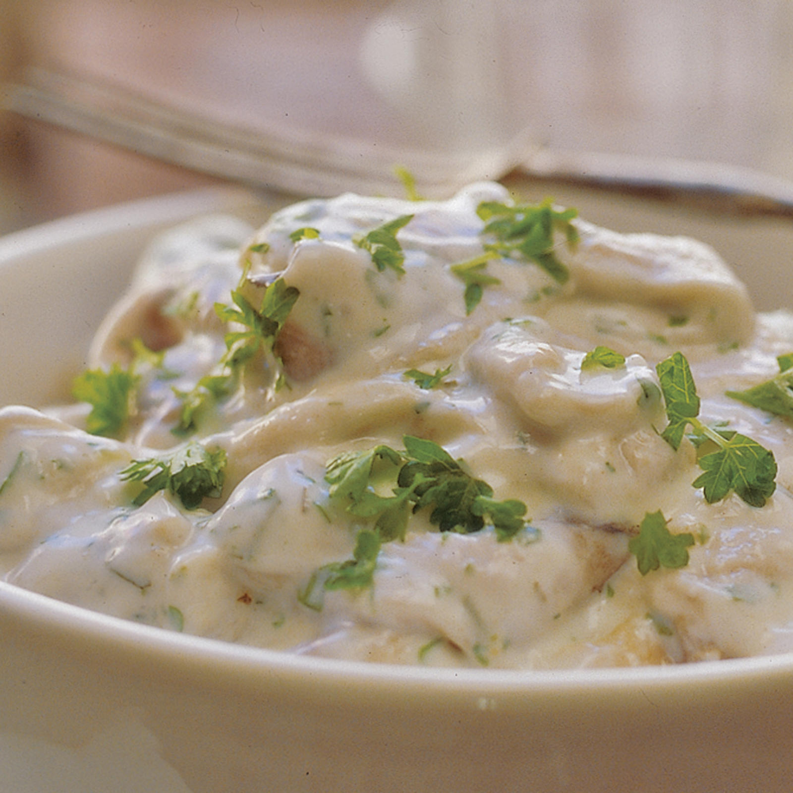 Graavit valkosipulisilakat