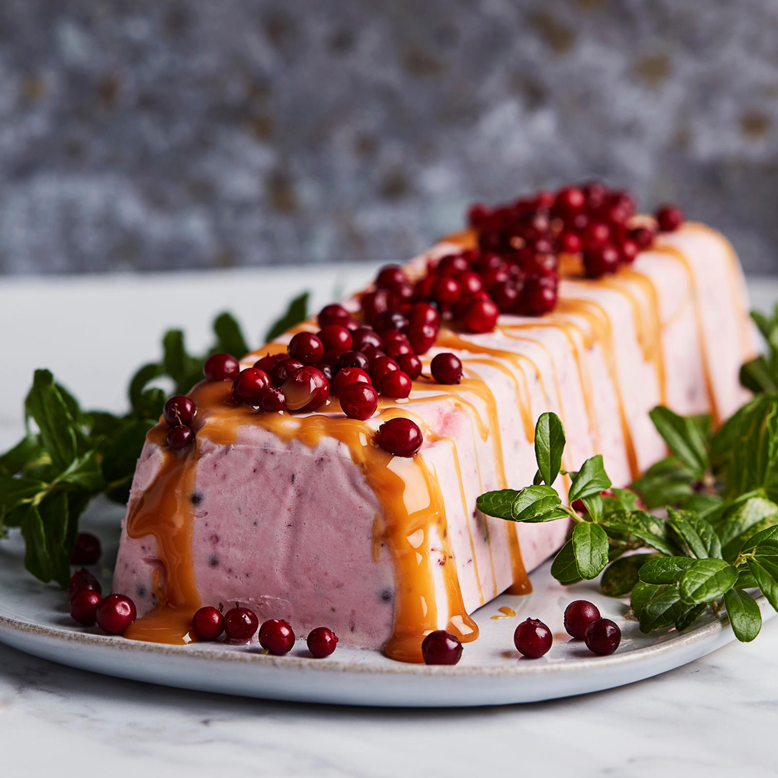 Helppo puolukkajäädyke