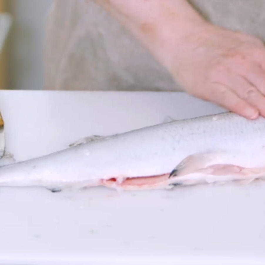 Näin suomustat siian