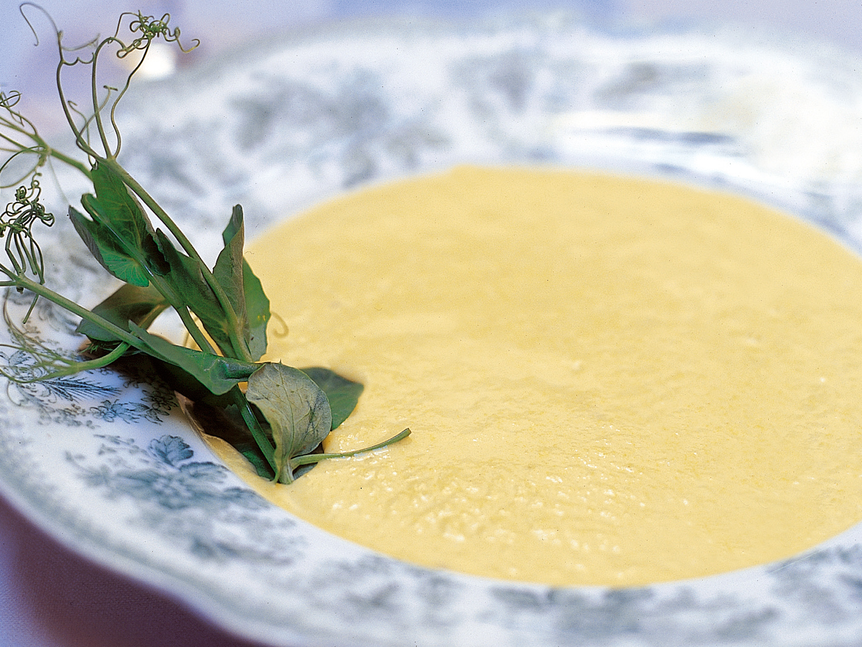 Hieno kukkakaalikeitto