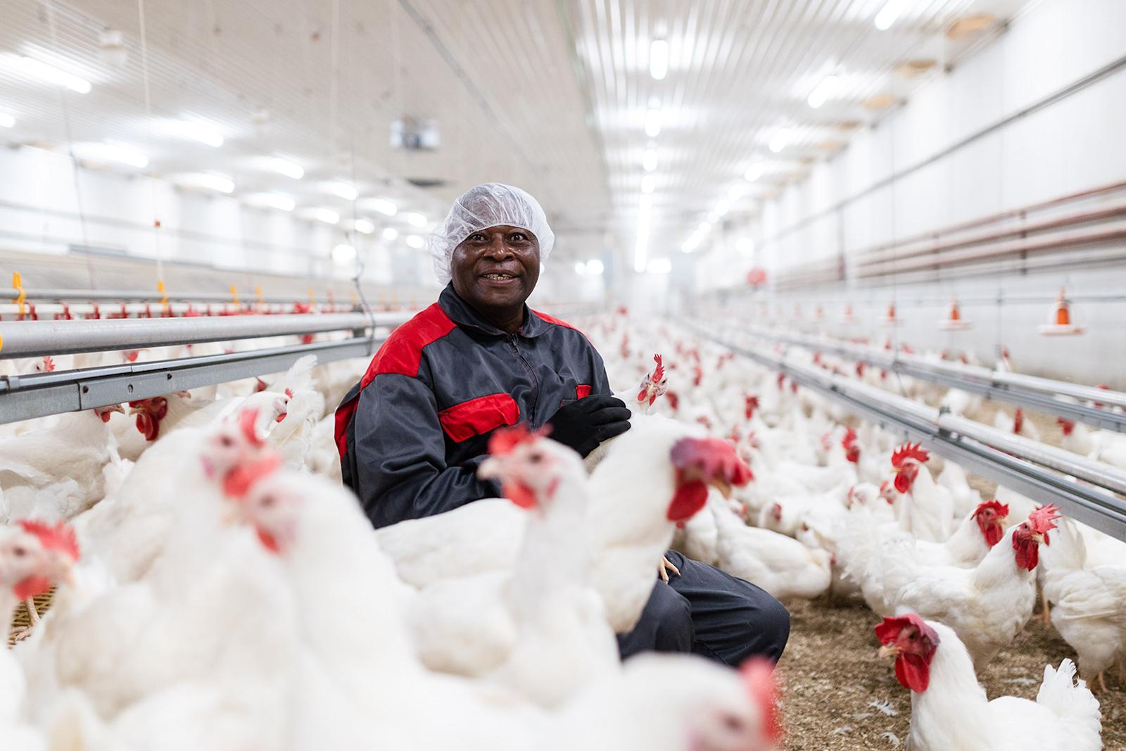 Vincent Klutse kanojen keskellä