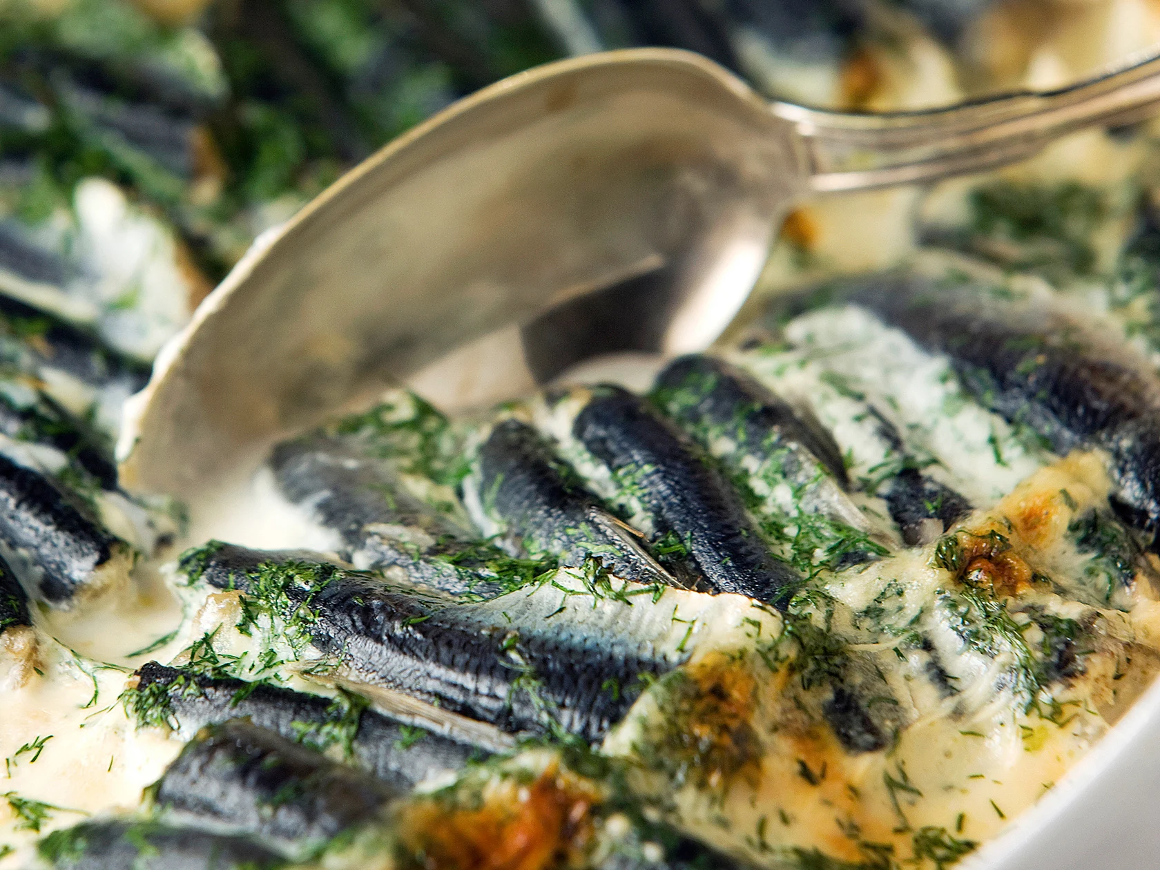 Mätitahnalla täytetyt uunisilakat