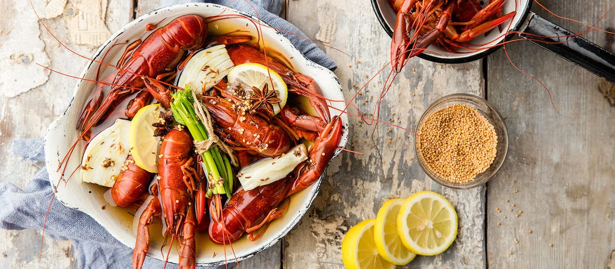 Pakasterapujen makuliemi