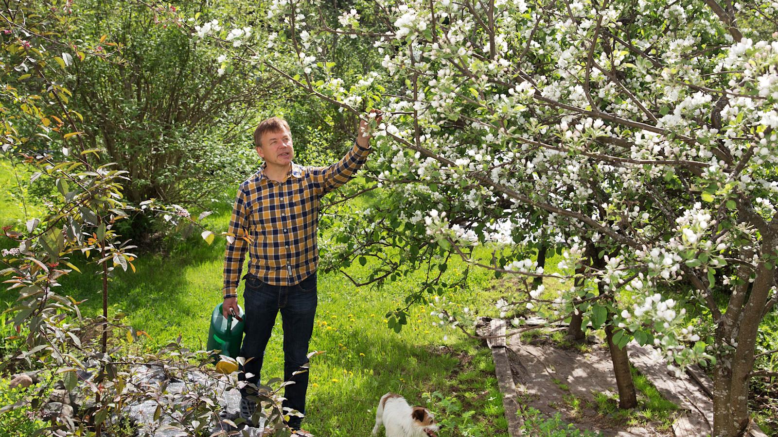 Jorma Ulkuniemi