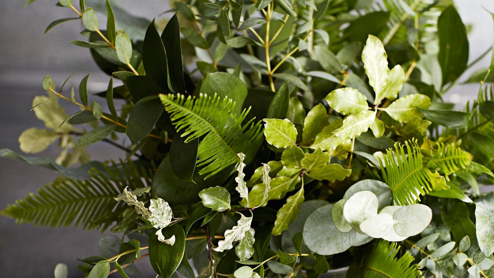 Kimppu leikkovihreistä