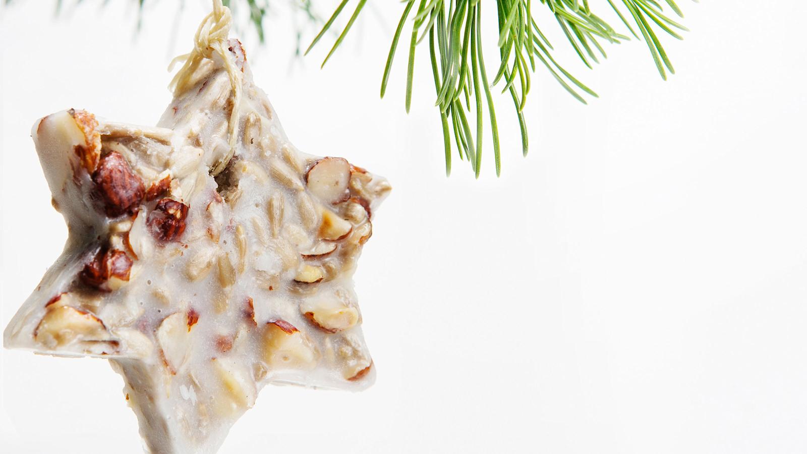 Linnunruokaa piparkakkumuotilla