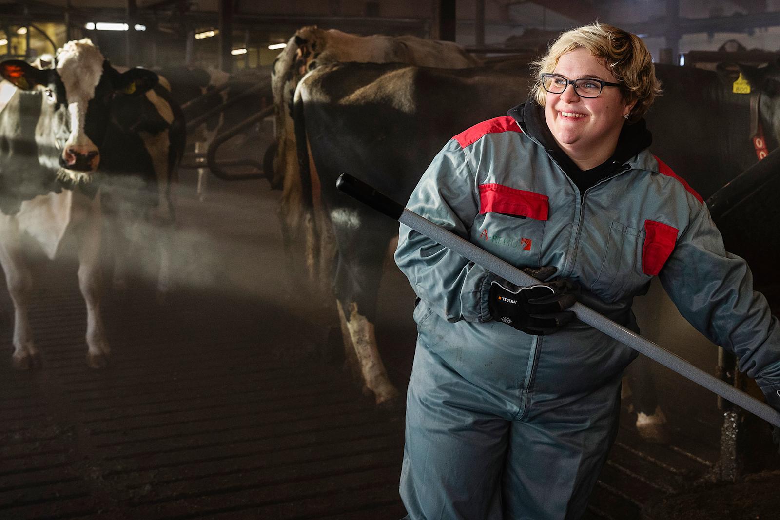 Maitotilalla arki rullaa, vaikka maailmalla kuohuu.