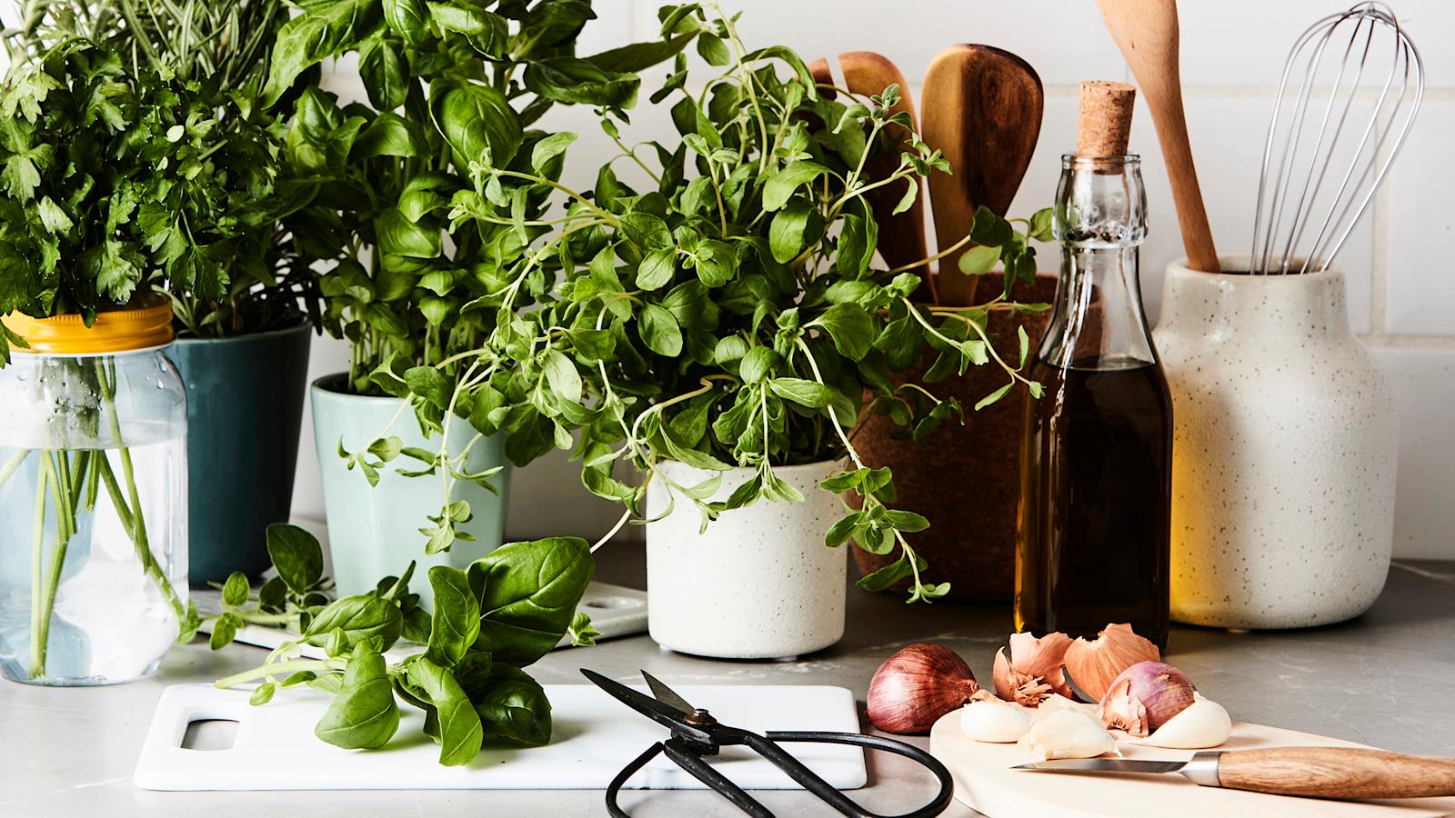 Yrttien säilytys kotona