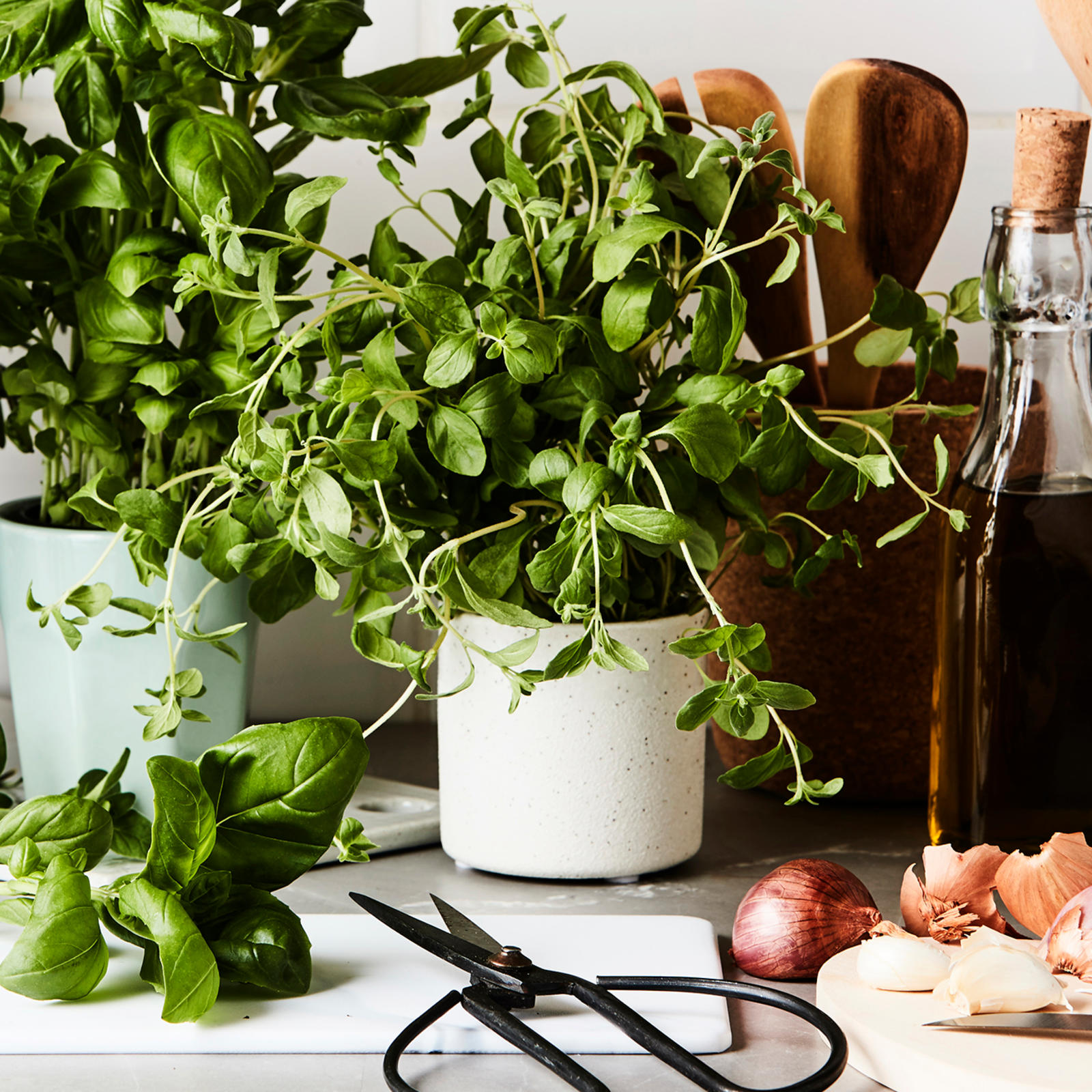 Yrttien säilytys kotona