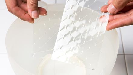 Liota liivatelehtiä runsaassa kylmässä vedessä 5–10 minuuttia.