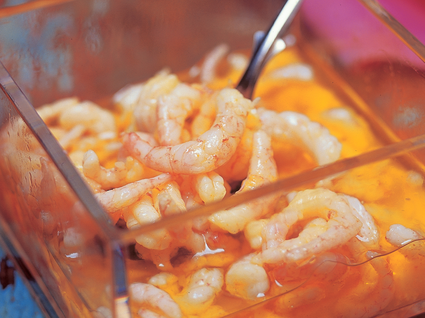 Karrimarinoidut katkaravut