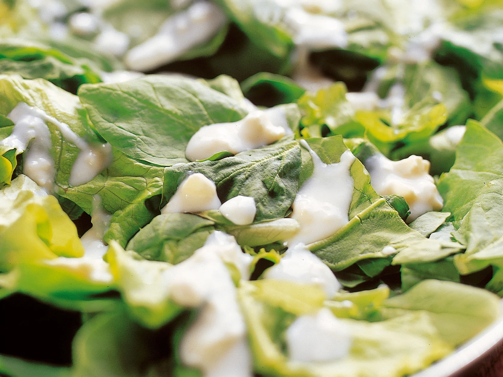 Pinaattisalaatti ja fetakastike