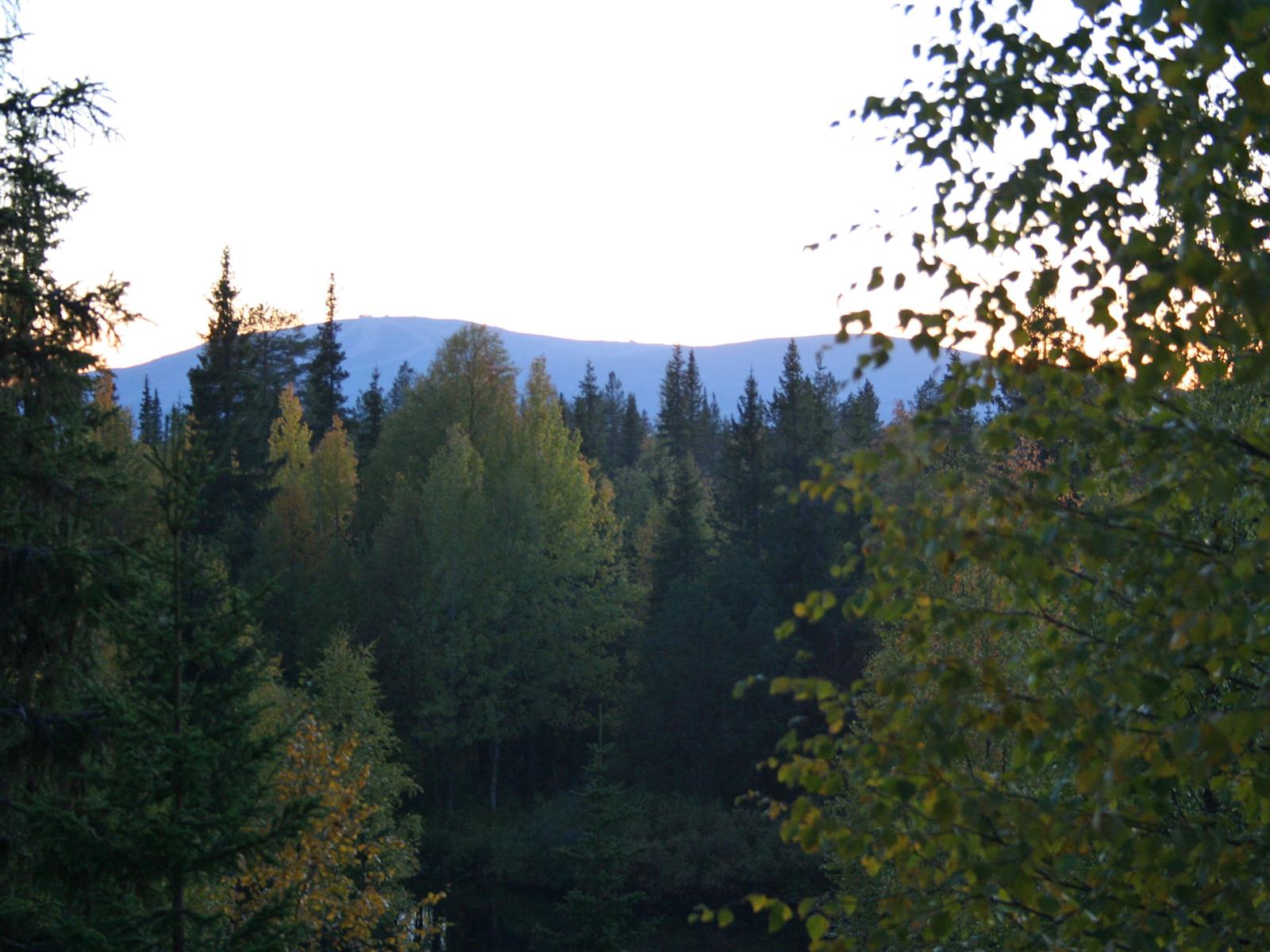 Lyhyt valoitusaika