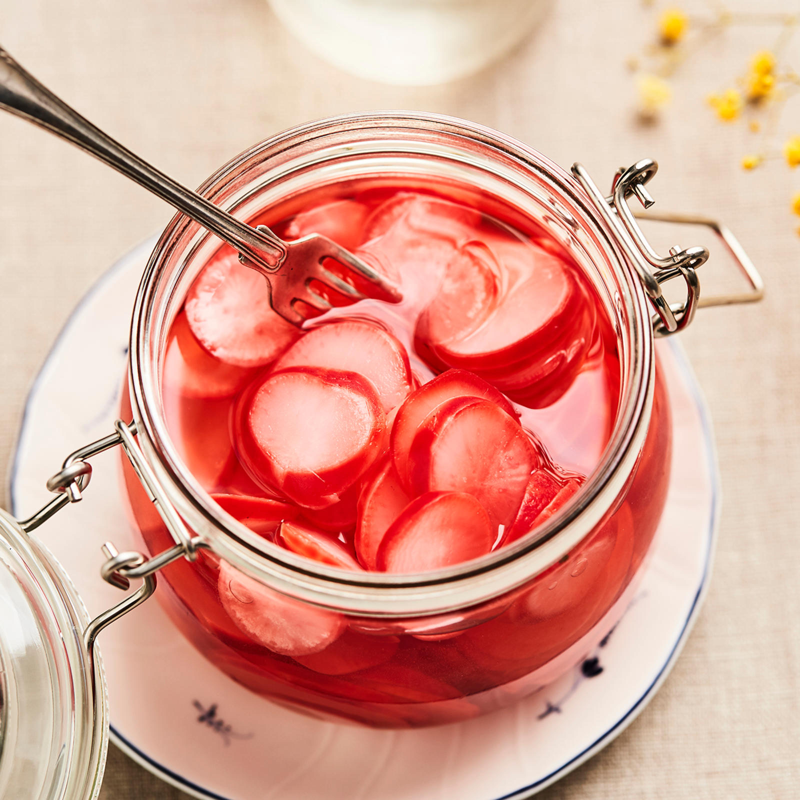 Pikkelöidyt retiisit