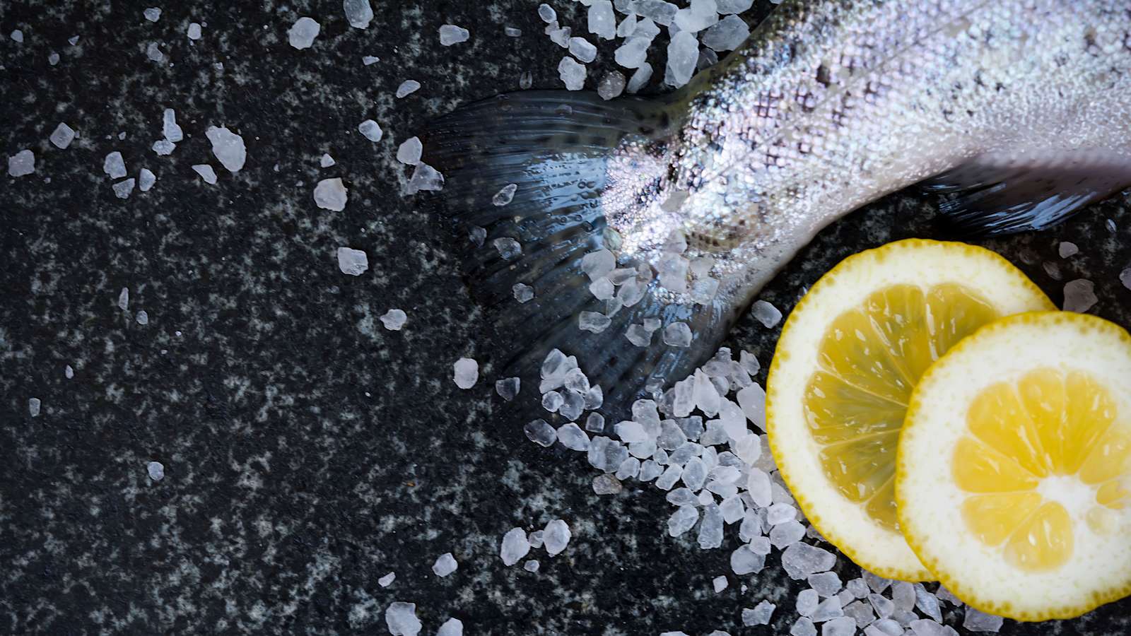 Siika, kuha, kirjolohi ja muikku ovat heinäkuun sesonkikalat