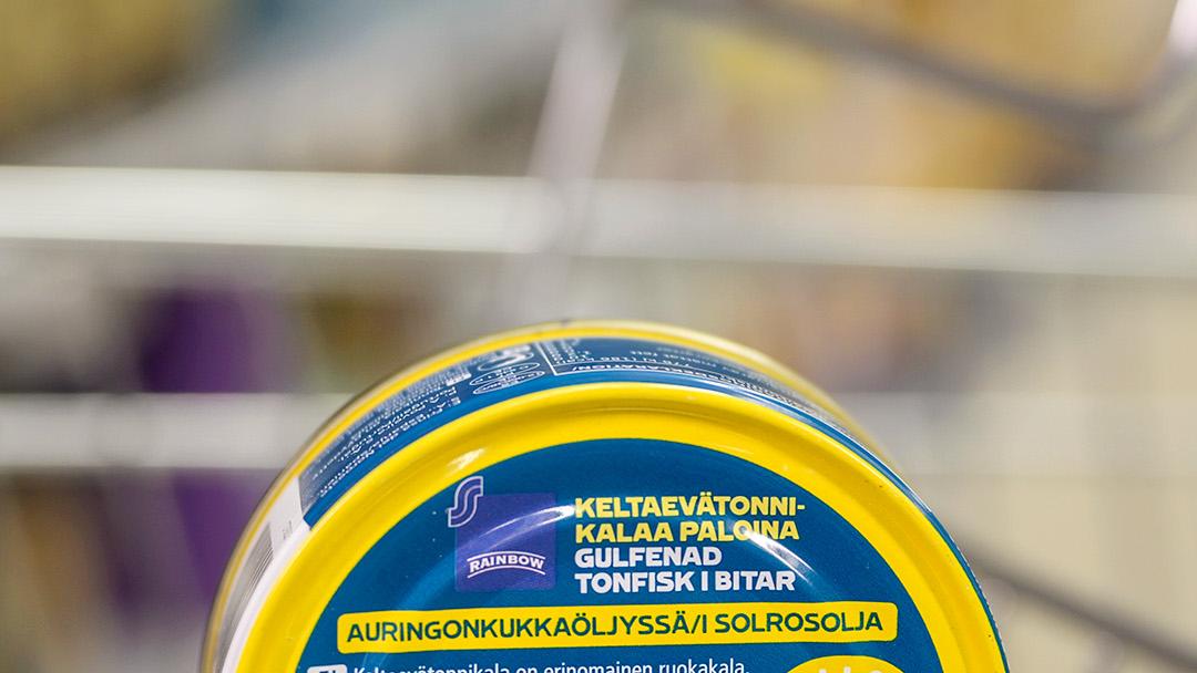 Rainbow keltaevätonnikala, testivoittaja