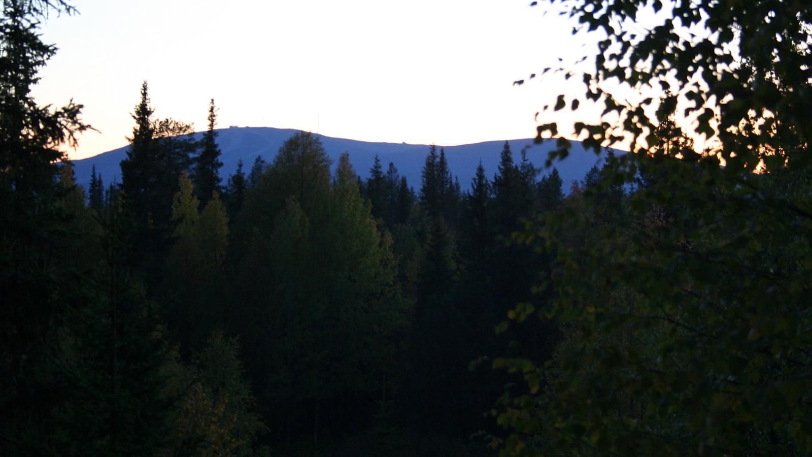 Pitkä valoitusaika
