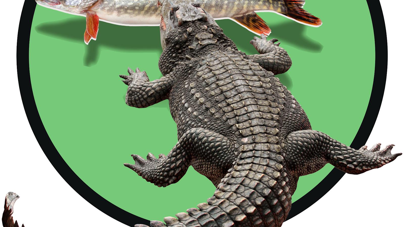 Kuvateksti