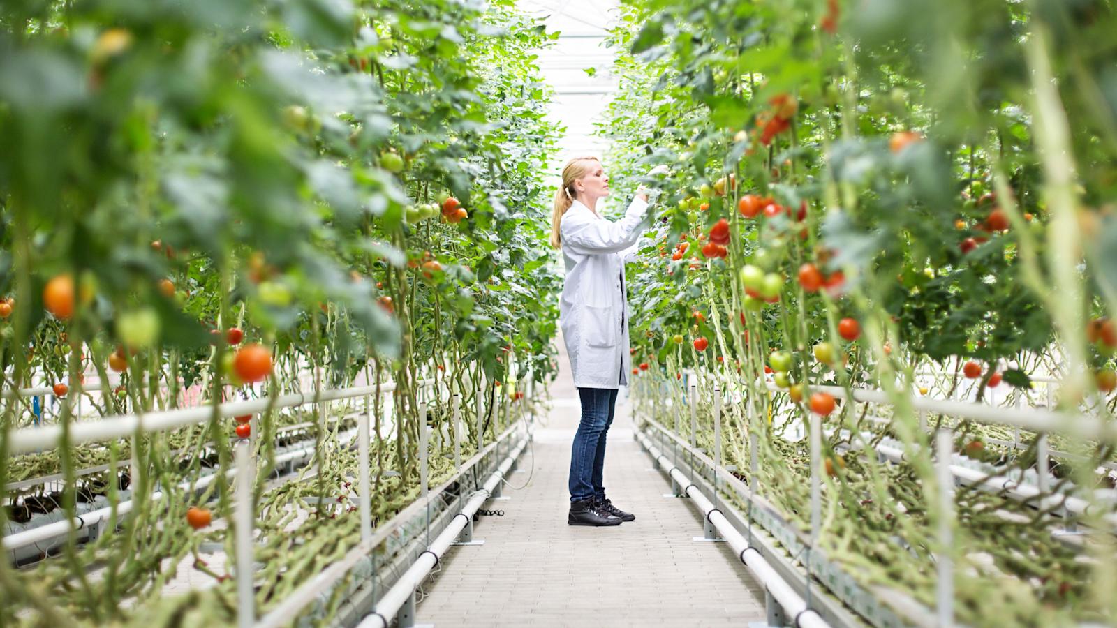 Ruokamanifesti: Enemmän faktoja ruokakeskusteluun