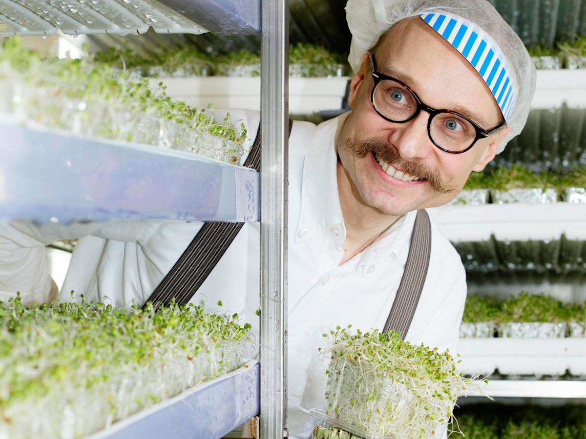 Silmusalaatti Samuli Laurikainen