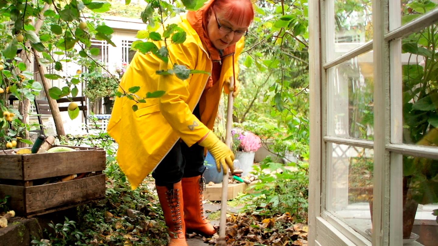 Valmistele puutarha talveen