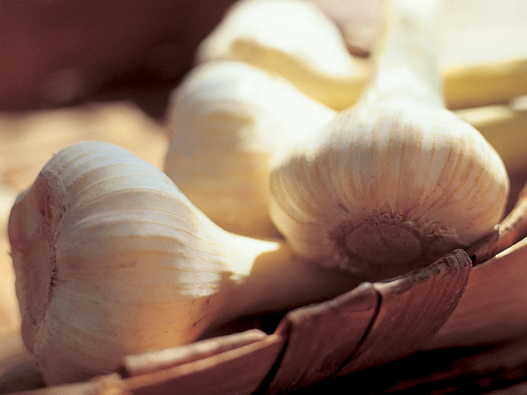 Paahdetut valkosipulit