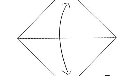 Puluorigami, aputaitokset