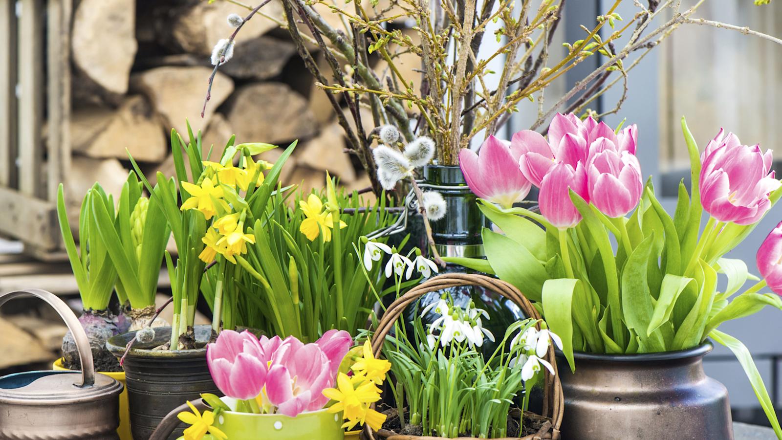 Pääsiäisen kukka-asetelmat