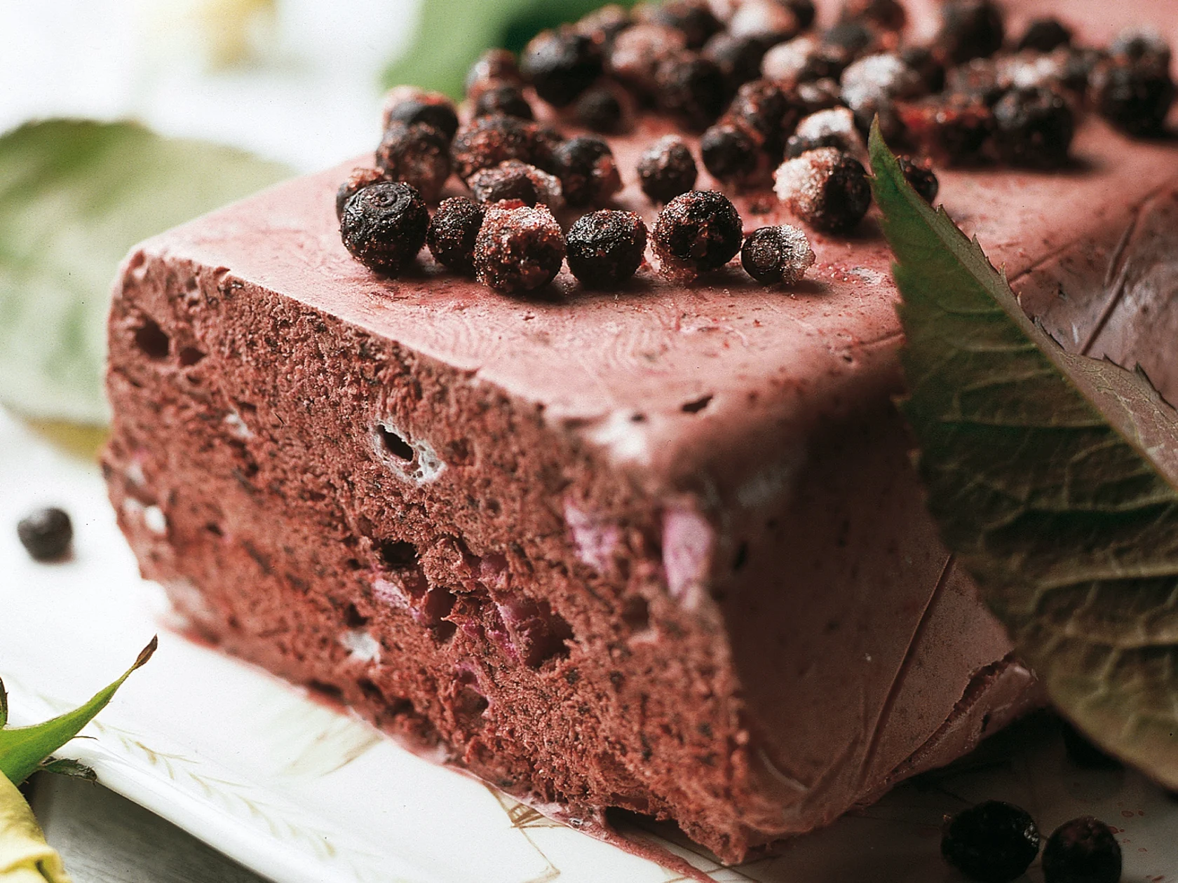 Mustikka-marenkijäädyke