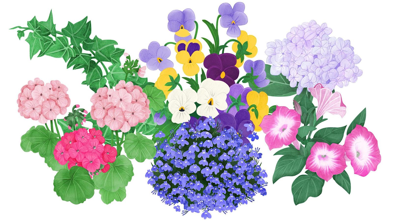 Kesäkukat löytyvät tänä keväänä myös S-ryhmän pienemmistä myymälöistä.