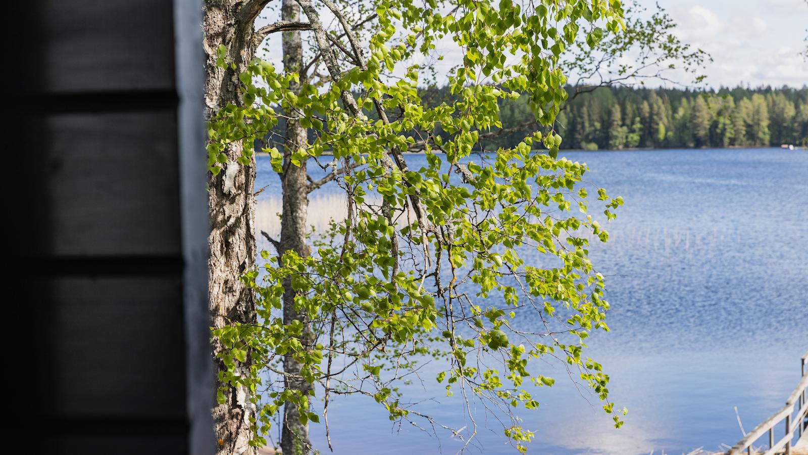 Perhehuviloista, villoista ja panoraamasaunoista avautuu maisema järven kokoiselle Käyrälammelle.