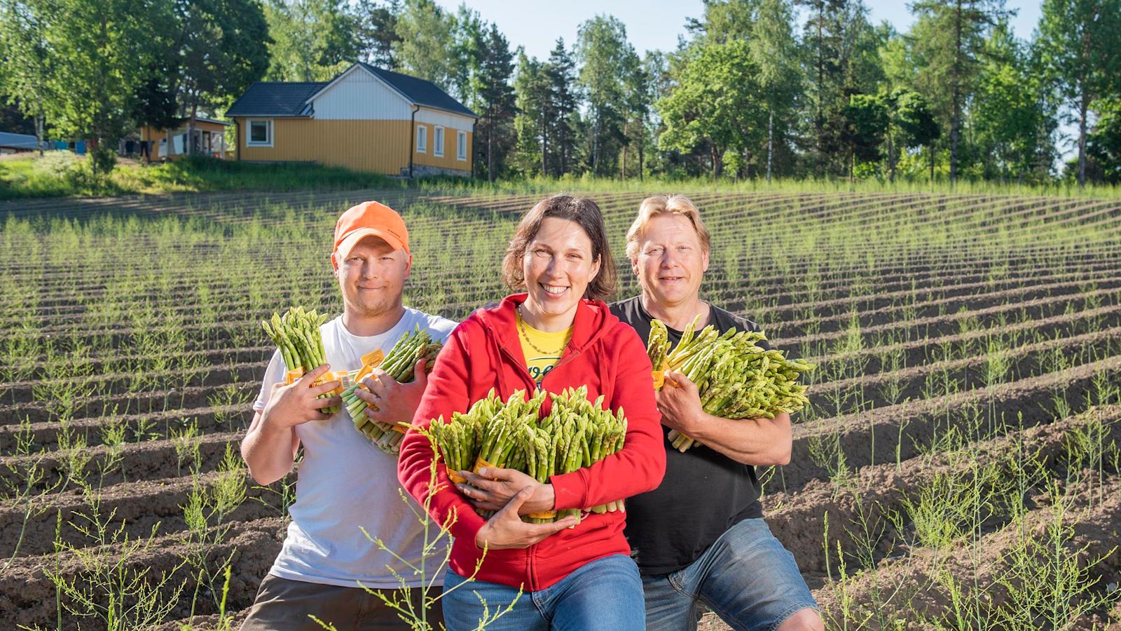 Järvenkylän tilan toiminnasta vastaavat Sauli Suominen, Ingrida Alijosiute ja Jari Suominen.