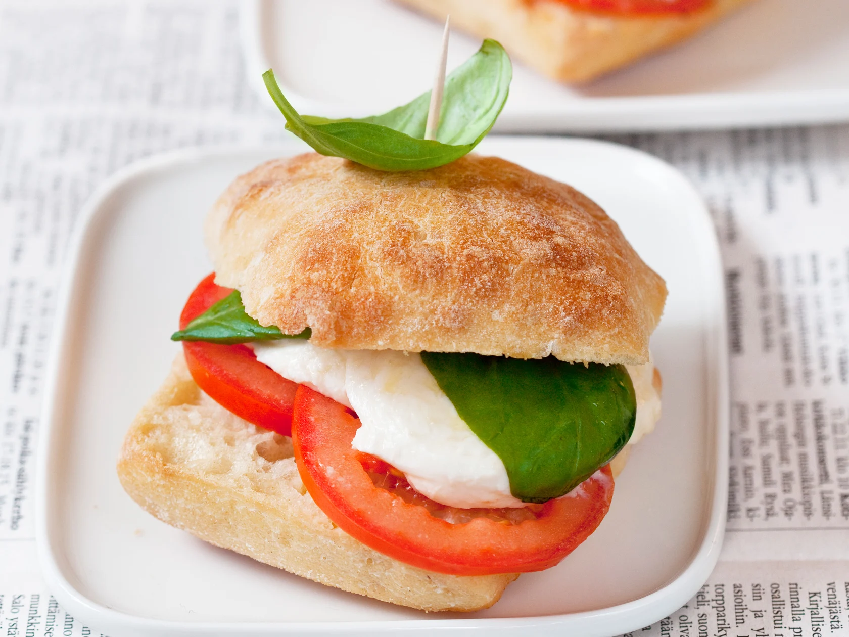 Lämmin mozzarellapanini