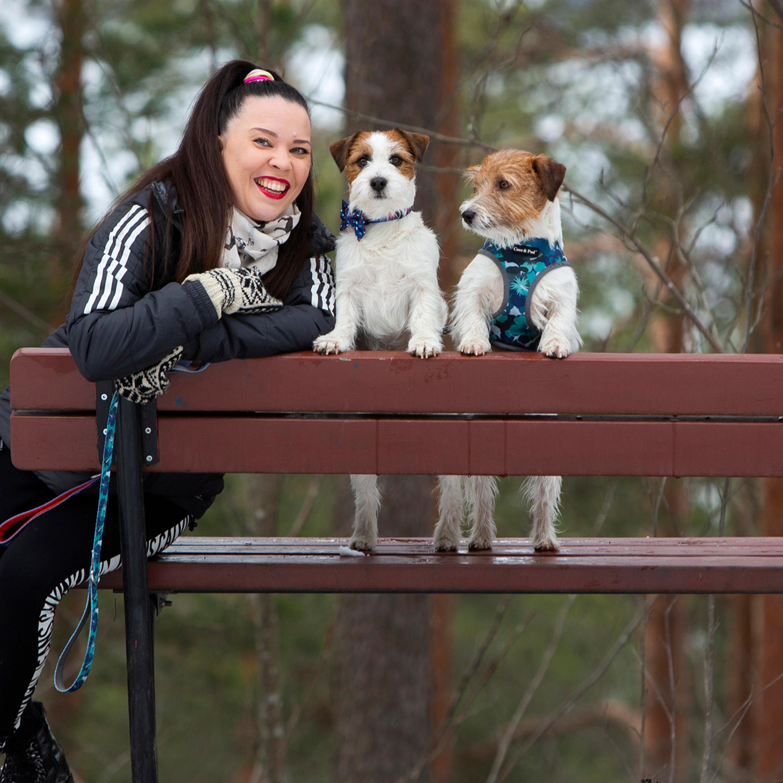 Sopraano Johanna Kalmari ja jackrussellinterrierit Häjy ja Nisu
