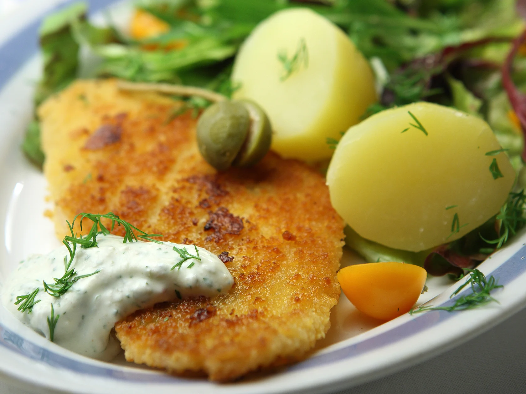 Jogurtti-kapriskastike kalalle