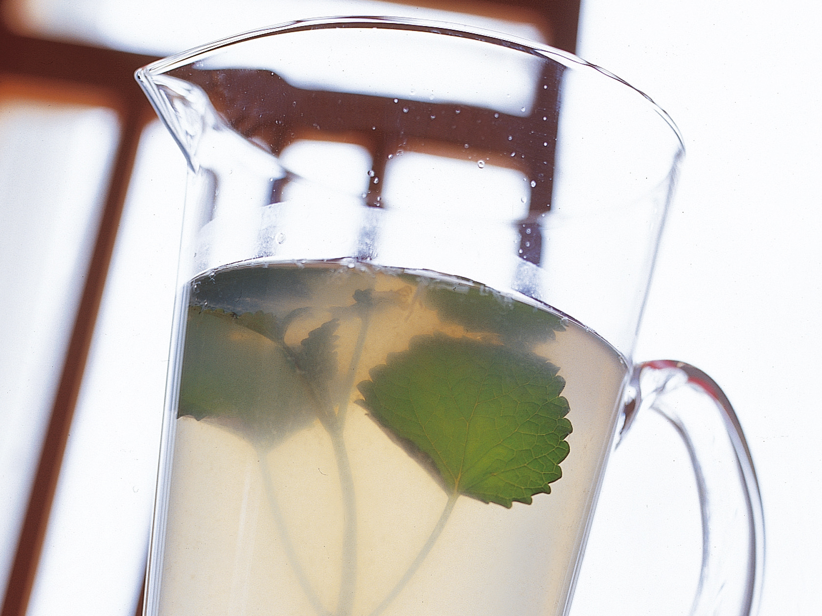 Sitruunamelissajuoma