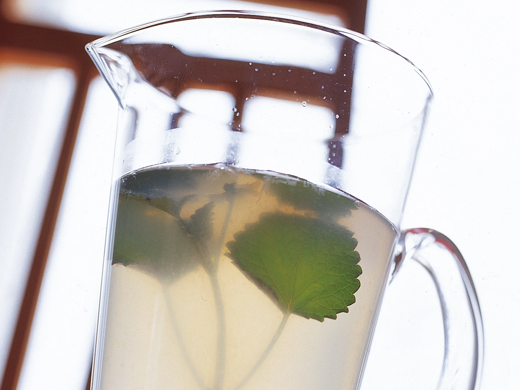 Sitruunamelissajuoma