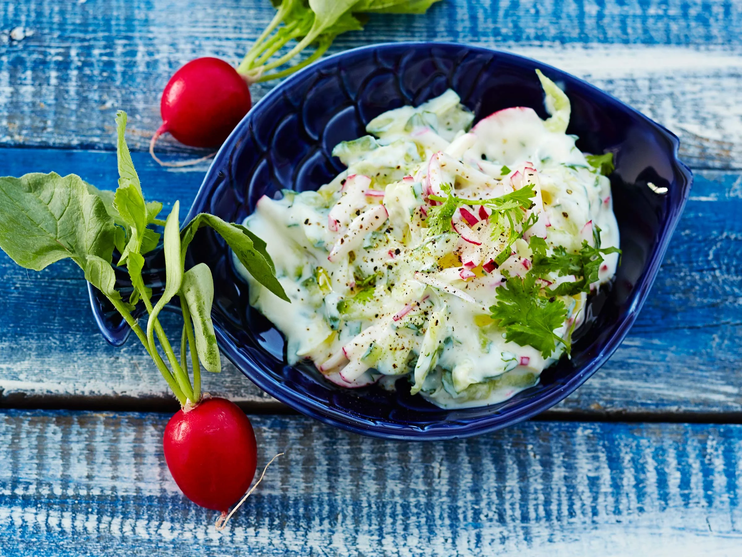 Retiisi-korianteritsatsiki