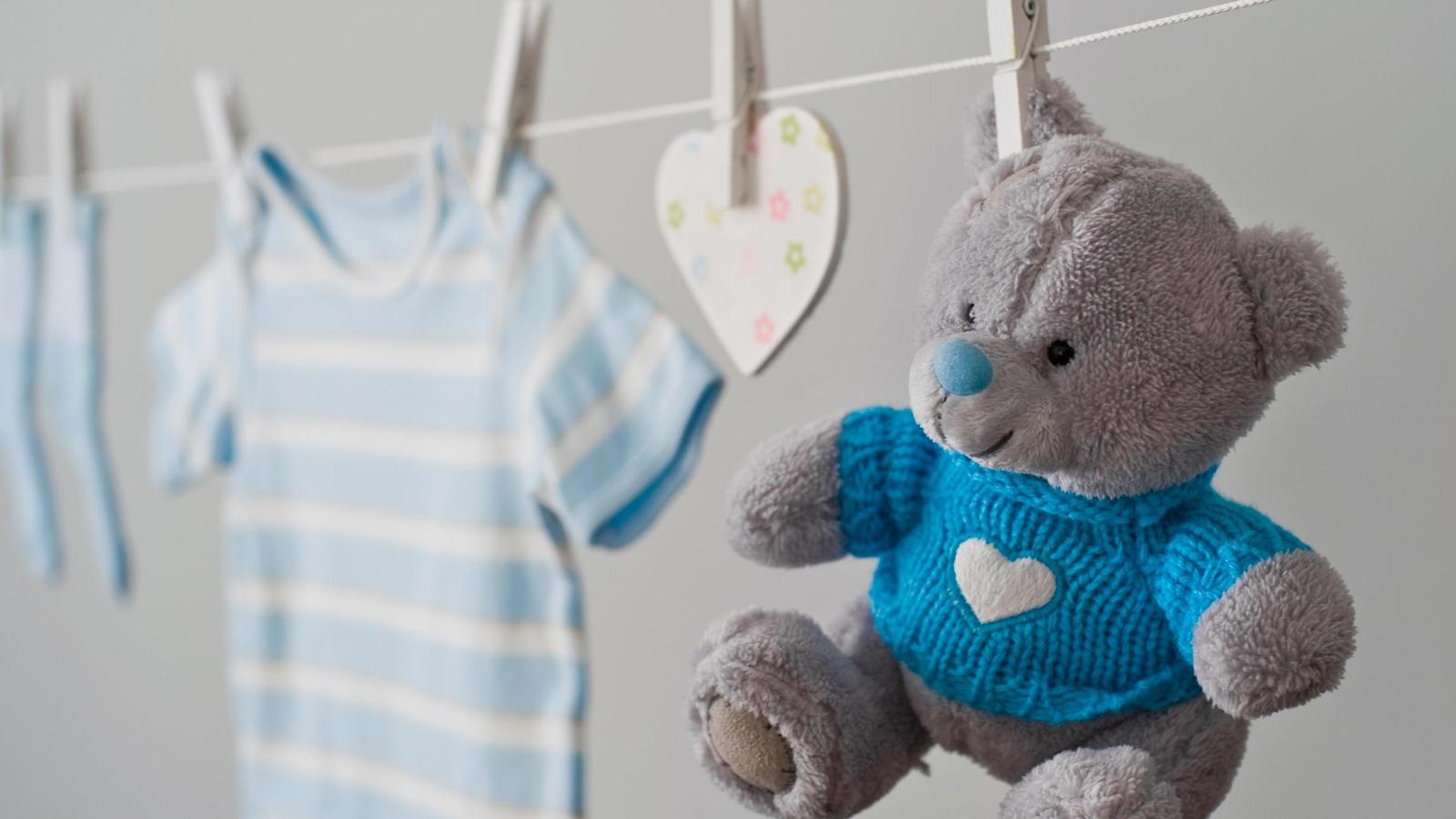 Pehmolelujen puhdistus