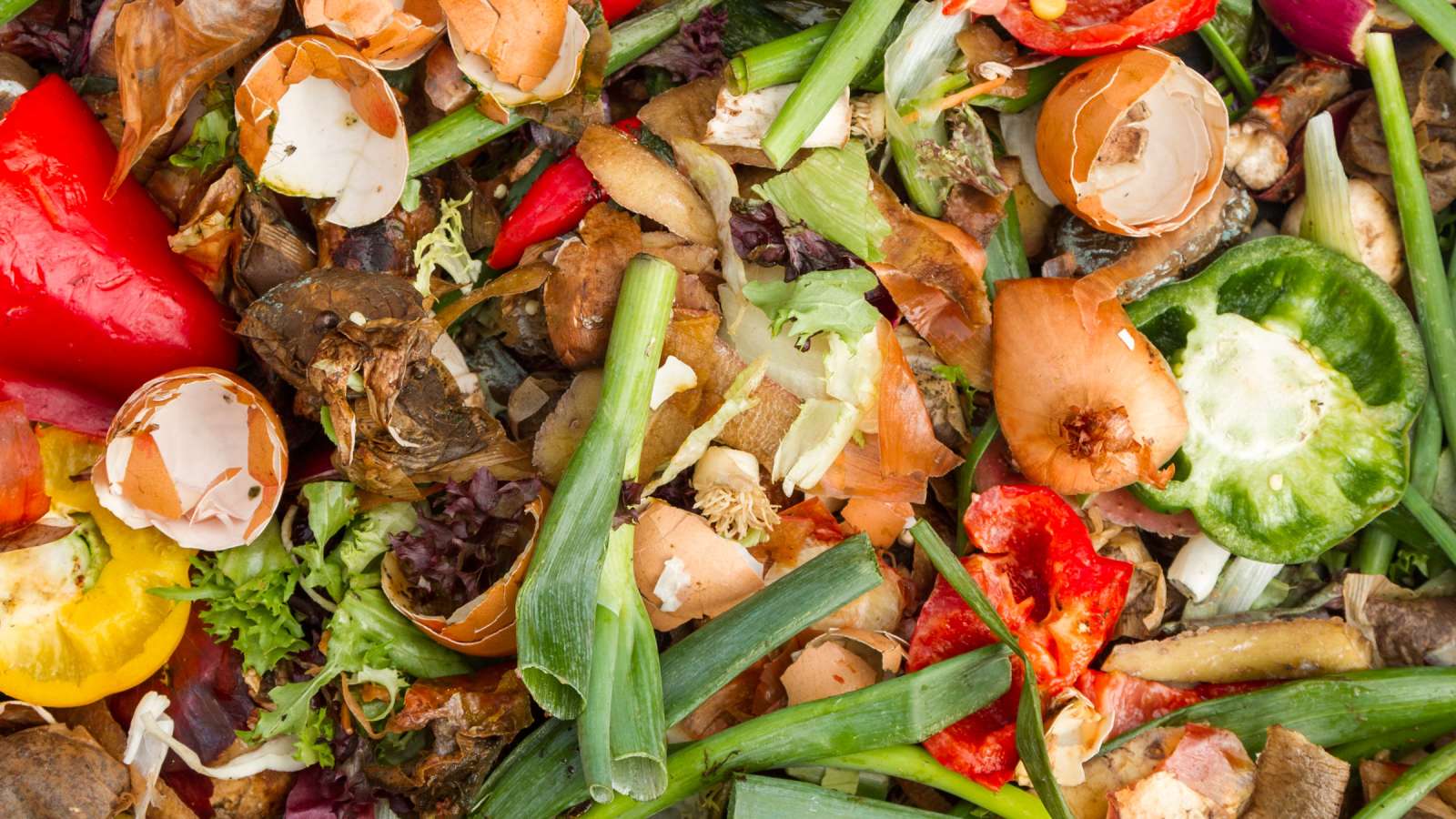 Ruokamanifesti: Vähemmän ruokaa roskiin