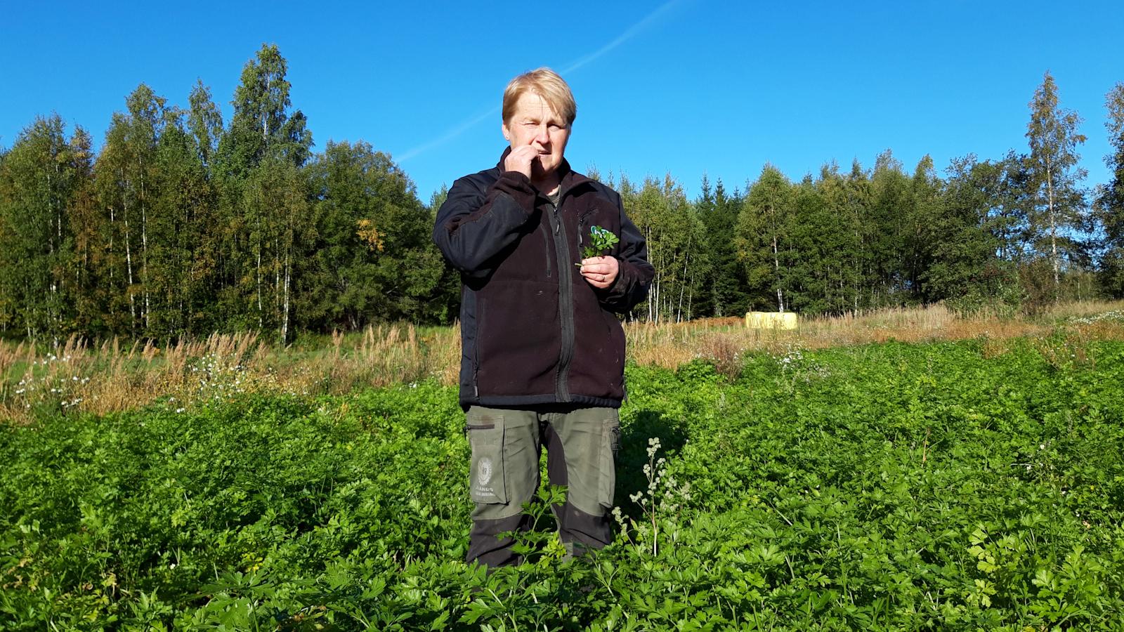 Viljelijä on oman itsensä herra. ”Saa olla ulkona luonnossa, ja maanviljely on erinomaista hyötyliikuntaa”, Carita Gustafsson nauraa.